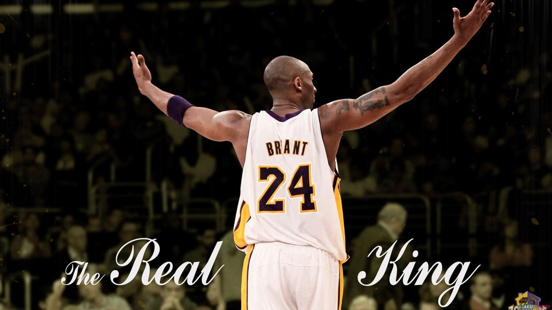 勇士巅峰对决，库里如何用奇才撕碎对手的剧本