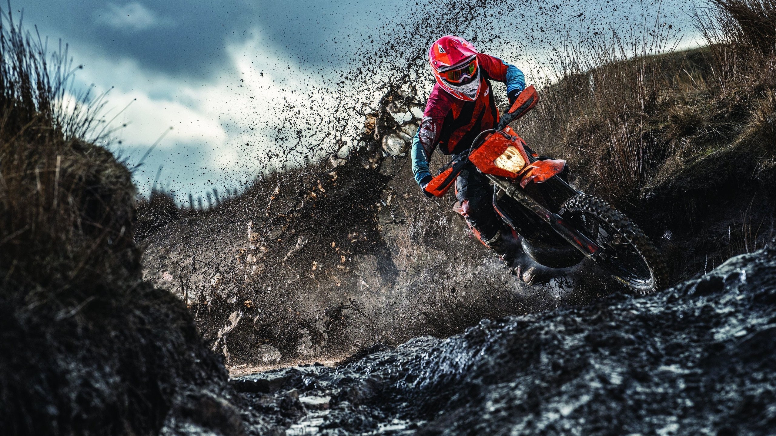 当F1的硝烟遇上药厂的火焰，勒沃库森如何用赛道智慧制霸马赛